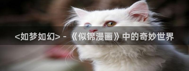 韩漫推荐女主漫画：<如梦如幻> - 《似锦漫画》中的奇妙世界