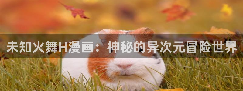 韩漫画免费高清漫画在线观看入口：未知火舞H漫画：神秘的异次元冒险世界