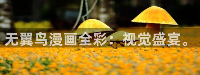 哪里可以看韩漫?