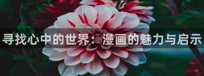 韩漫漫画在线免费看：寻找心中的世界：漫画的魅力与启示