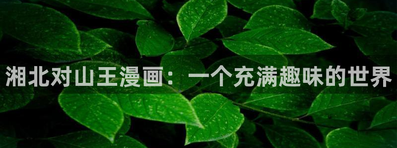 什么网站可以免费看韩漫：湘北对山王漫画：一个充满趣味的世界