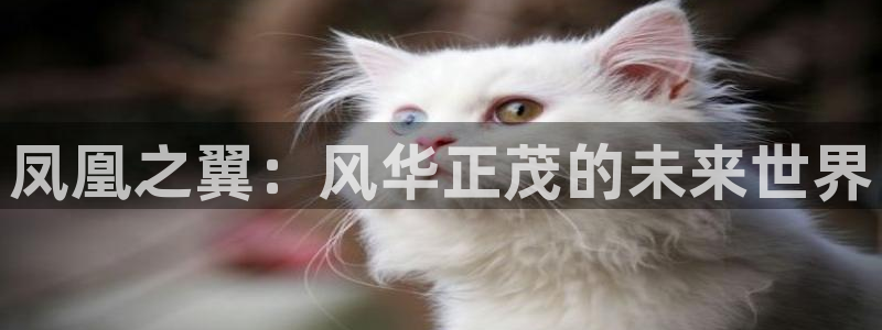 免费韩漫网入口