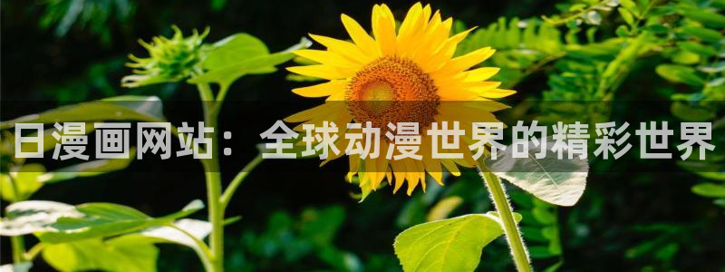 韩漫免费漫画免费阅读：日漫画网站：全球动漫世界的精彩世界